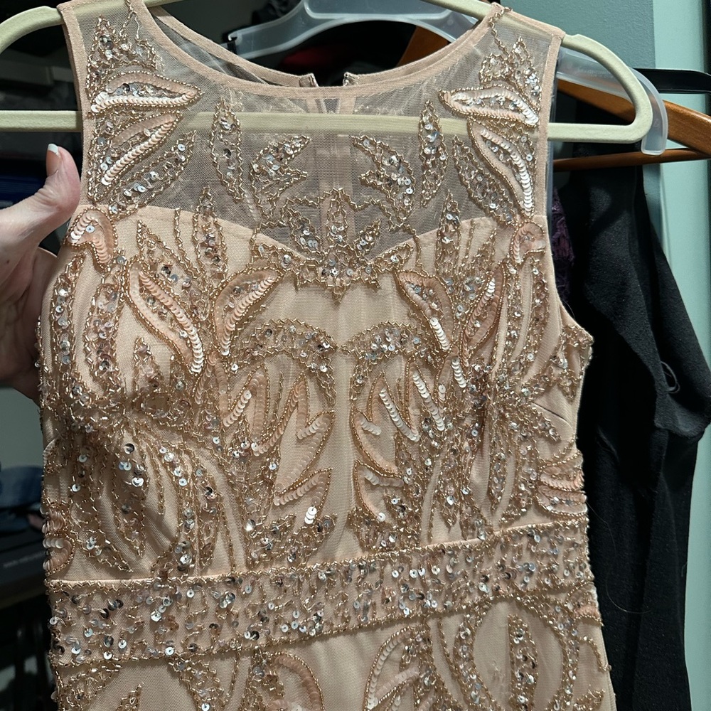 Adrianna Papell Gown